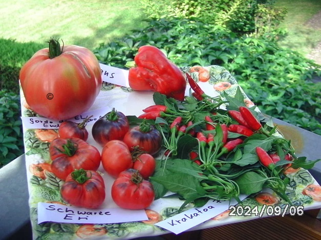 [Bild: BILD0401.jpg]