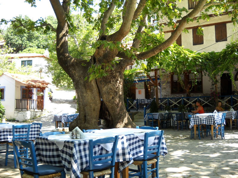 Slika