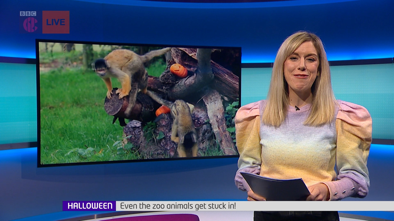 Newsround_20211023_07450755.ts_snapshot_10.11.387