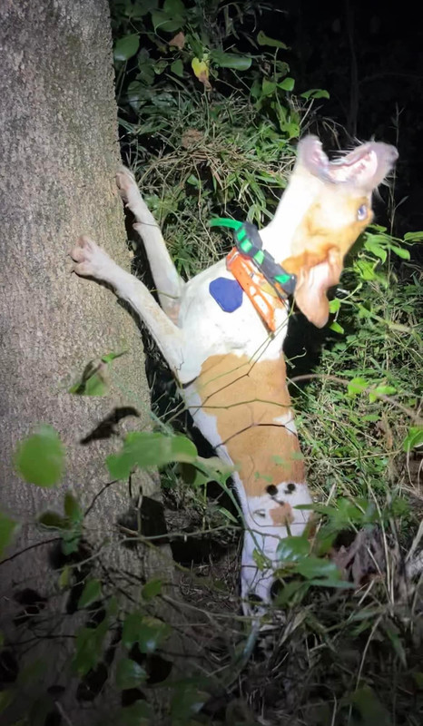 1BFE1C84-AF5F-4647-B778-CBC96FE38E51