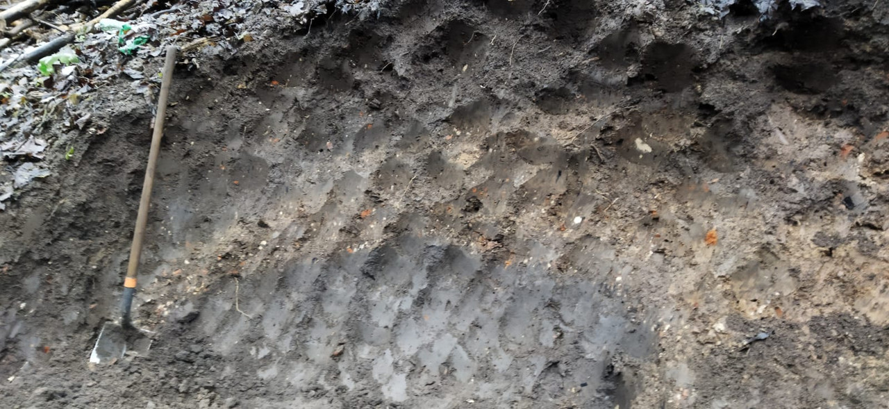 Whats App Image 2025 11 19 at 13 57 20