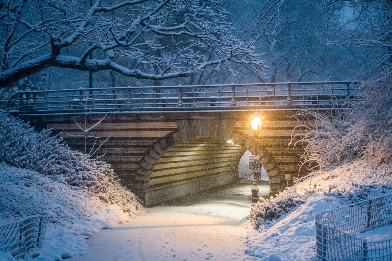 central park snow (5)
