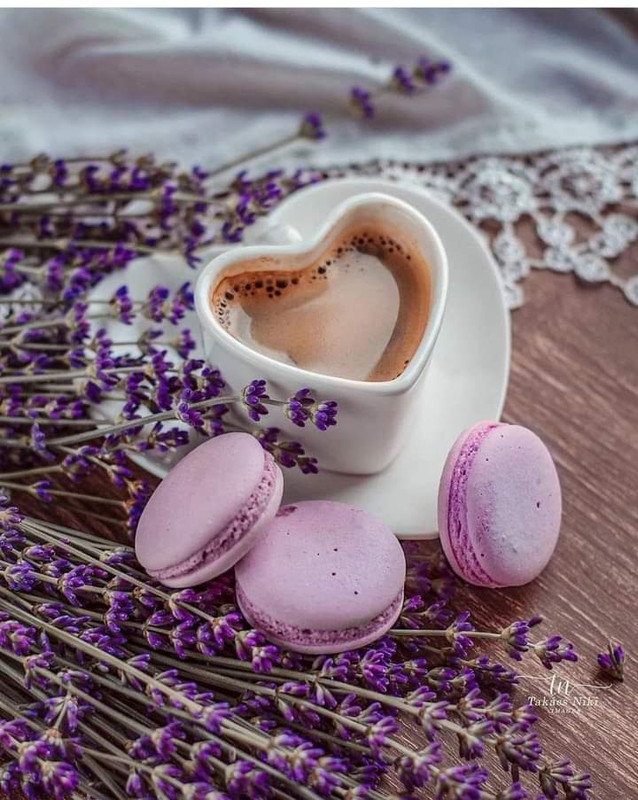 FB_IMG_1688790509456