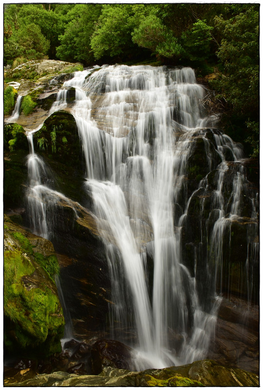 Fiordland NP: Milford Track (enero 2023) - Escapadas y rutas por la Nueva Zelanda menos conocida (47)