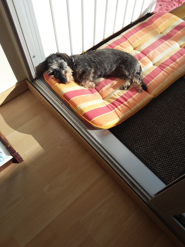 [Image: 20201104-140917.jpg]