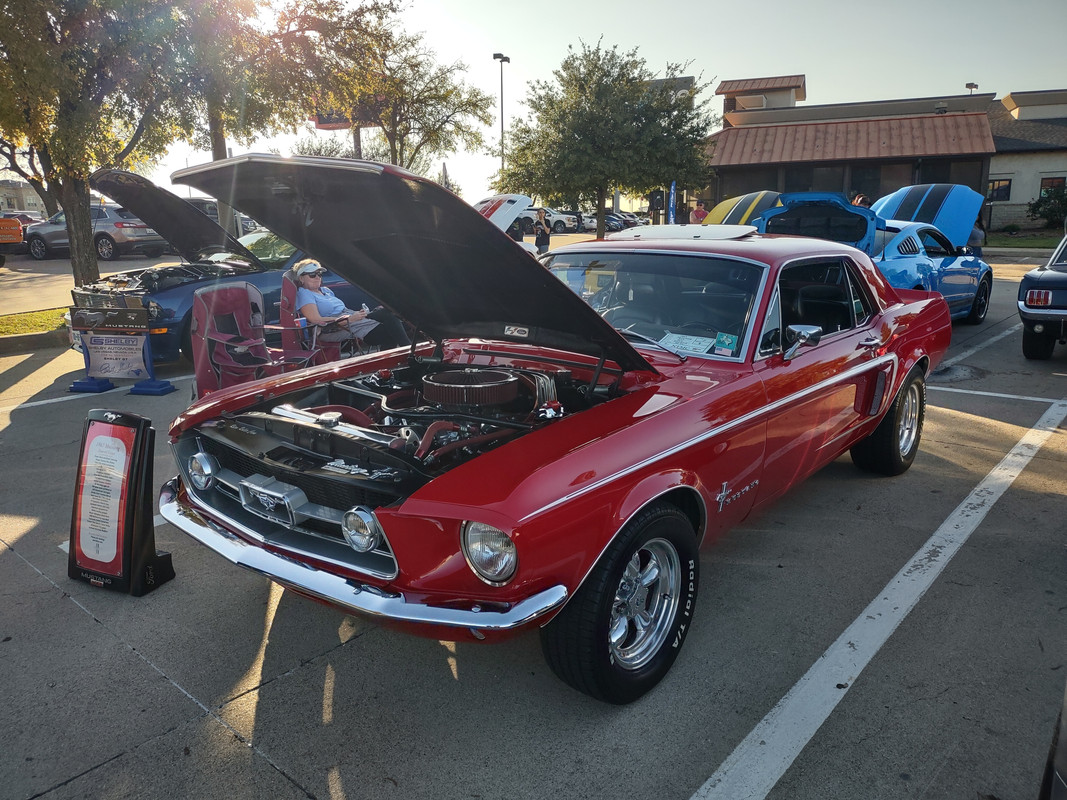 IMG_20241109_160354551_HDR