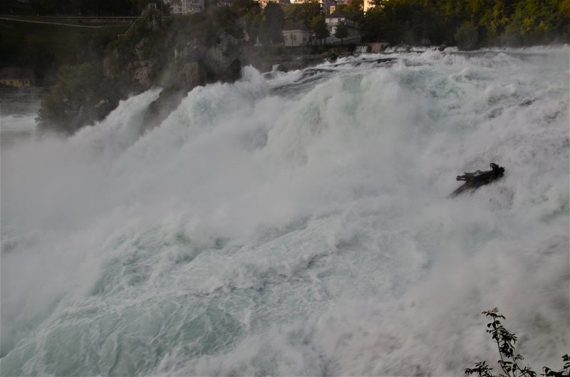 CATARATAS DEL RHIN-5-9-2019 - Suiza y sus pueblos-2019 (15)