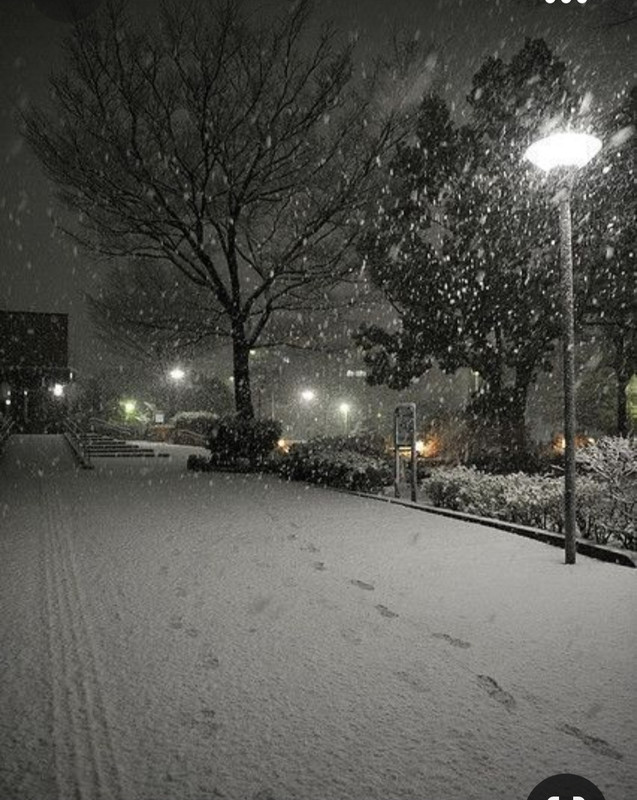 Screenshot_20231009_211506_Pinterest