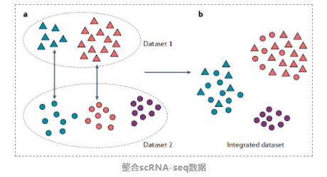 高维单细胞RNA测序数据分析工具-7.png