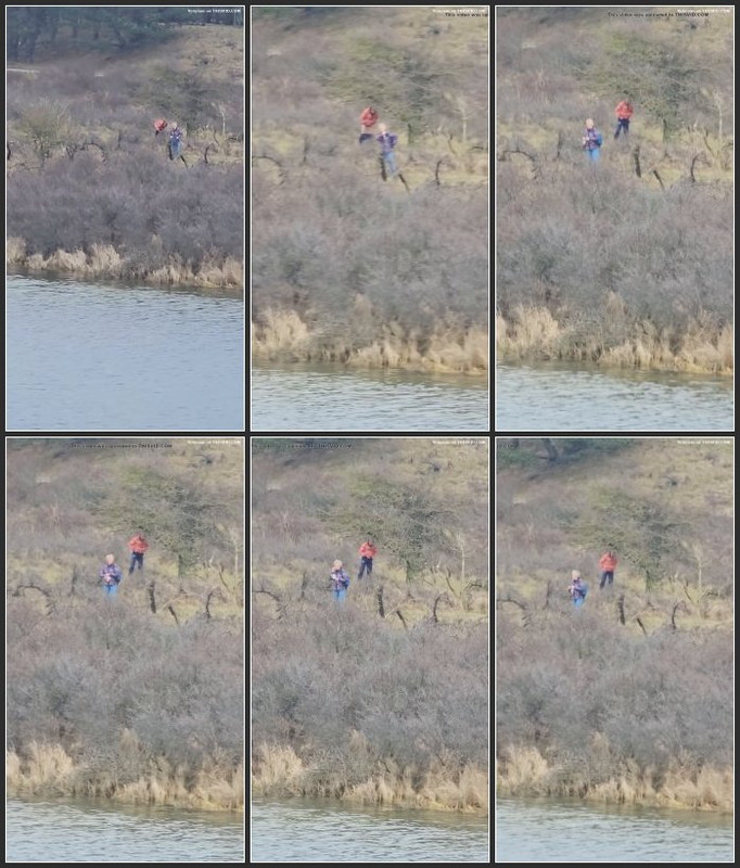 [Image: Woman-piss-in-woods-4.jpg]
