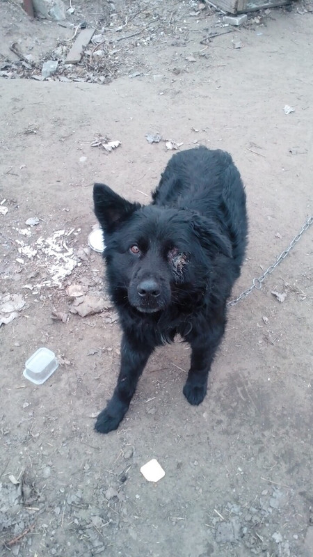 E5C1C53B-316B-4480-9058-6F1617F6725F