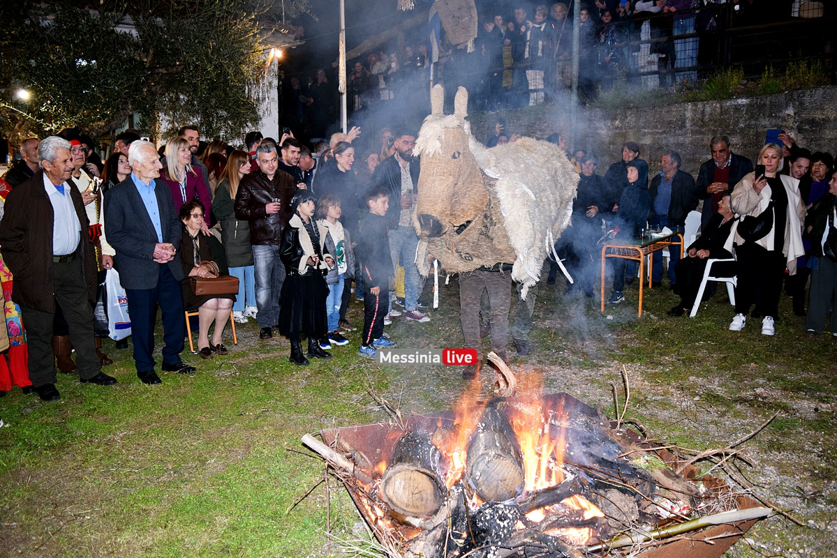 ελαιοχωριDSC_0651