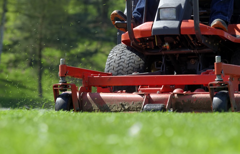 Landscaping Services Landscaping Services