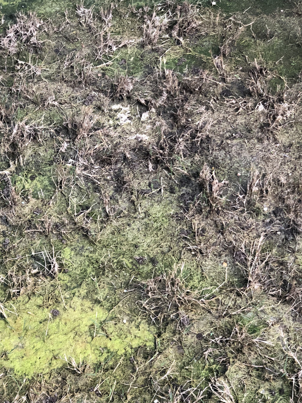 86F07A74-EB1E-4CFE-93EF-D6A5A8591A8A