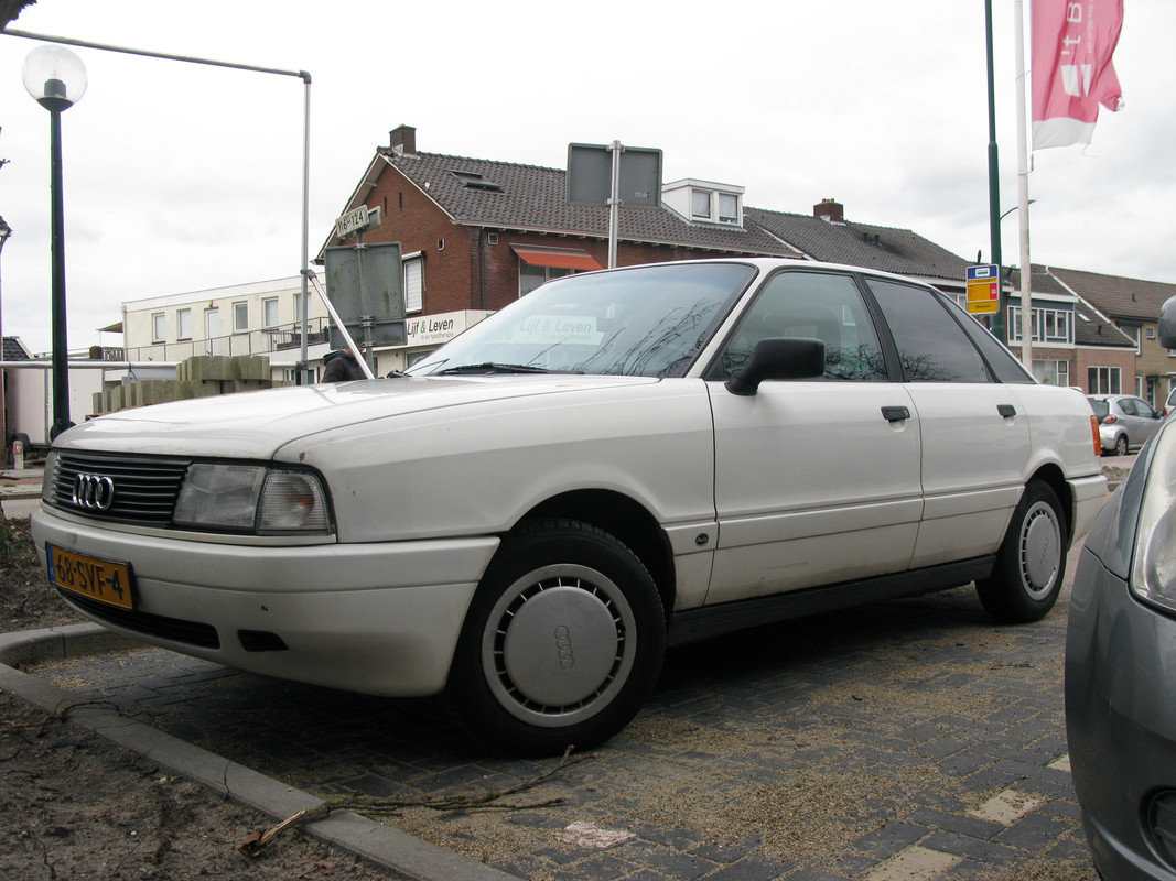 IMG-6732.jpg