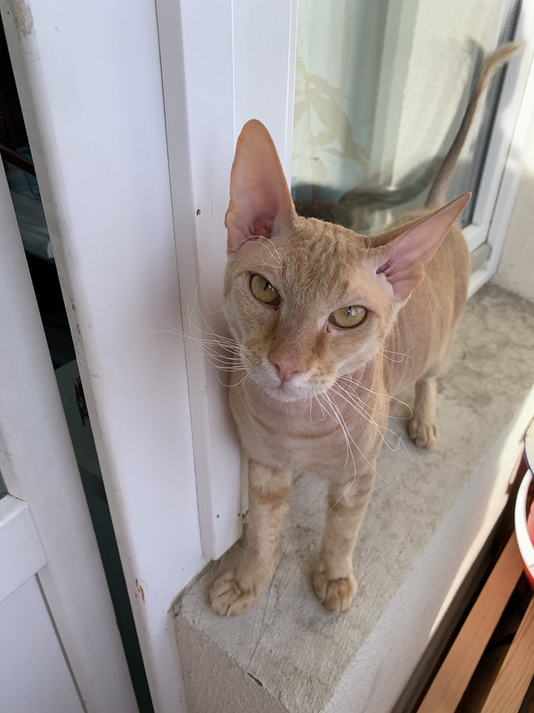 3DBB169C-811A-4D5A-B727-B371497E8DFA