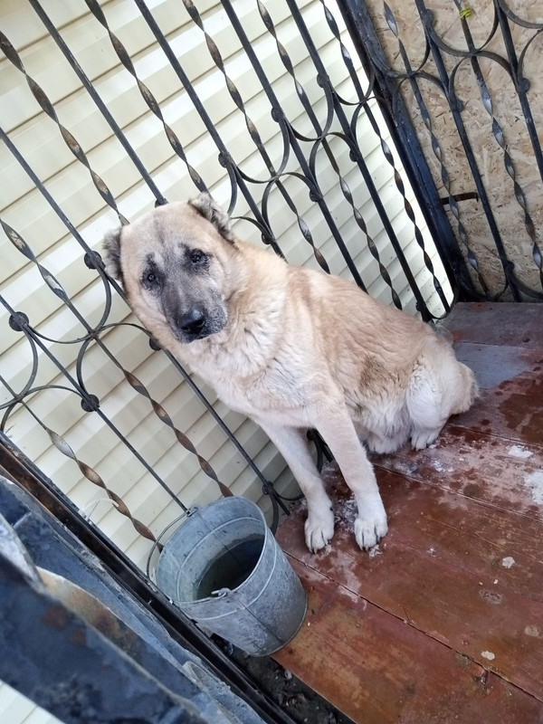 WhatsApp Image 2023-01-27 at 16.20.28 (1)