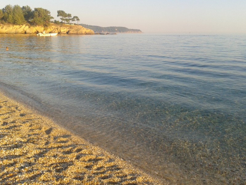 Slika