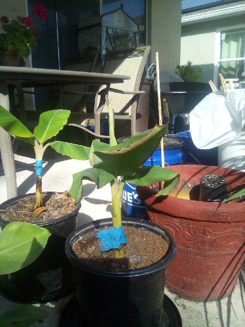 IMG_20200213_151950 (1)