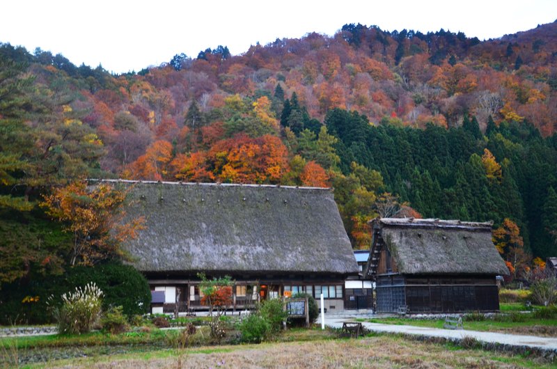 Aldea Histórica de Shirakawa-Go-14-11-2024 - Japón y sus Pueblos-2024 (2)
