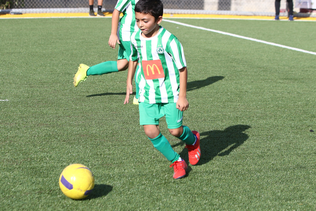 VIK_0337