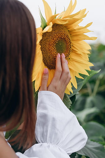 HD-wallpaper-sunflower-hand-flower-girl-thumbnail.jpg