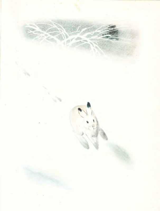 p0016