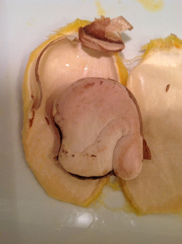 c133c812a2bc459906ac29c61558becc