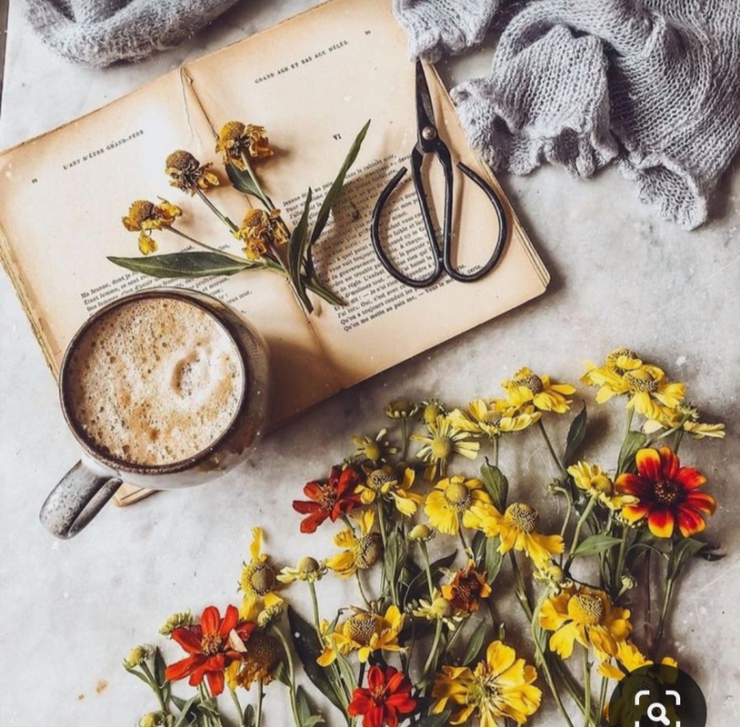 Screenshot_20230408_000216_Pinterest