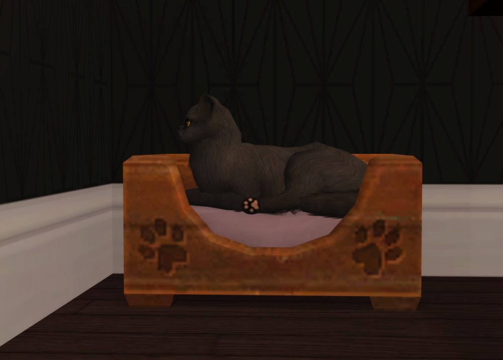 Sims2-EP9-RPC-2022-04-09-17-12-13-61