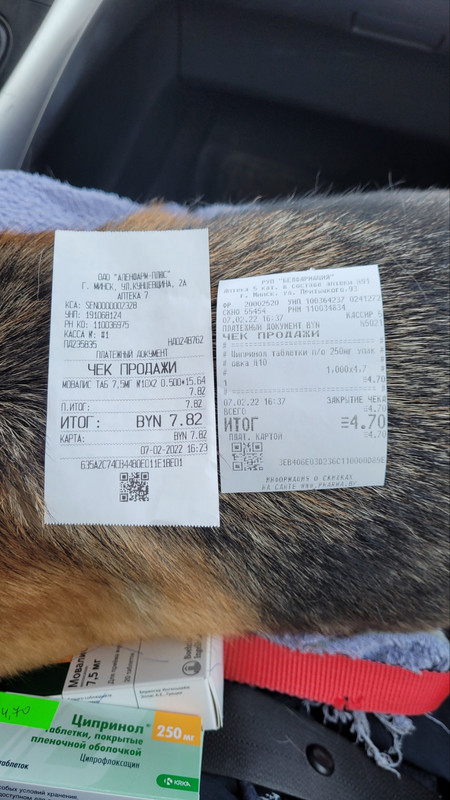 изображение_viber_2022-02-07_16-47-42-951