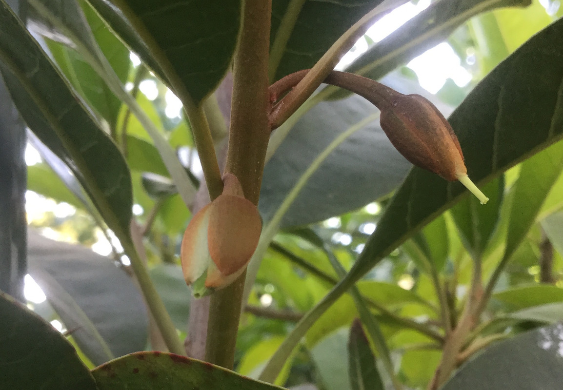 891B9A9E-18A9-4C82-96A5-9423200BA475