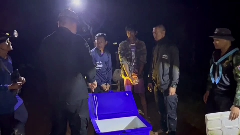 vlcsnap-2025-09-22-21h33m47s183