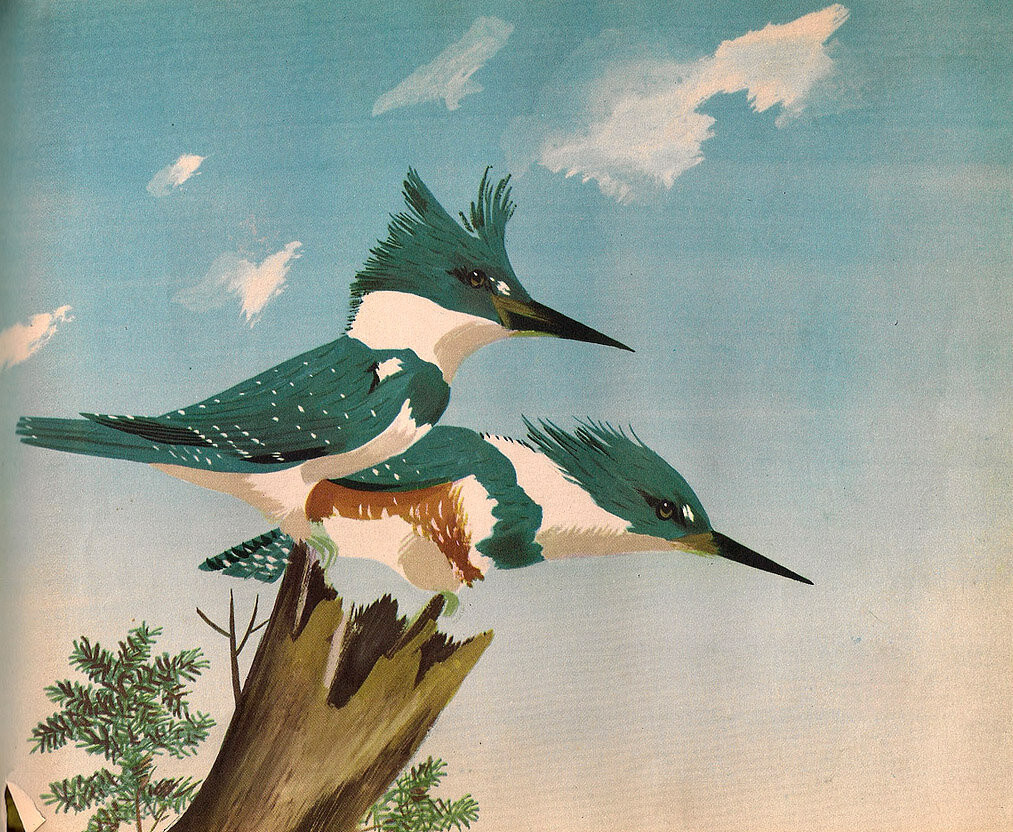 5535847979_be0a62e9a4_b