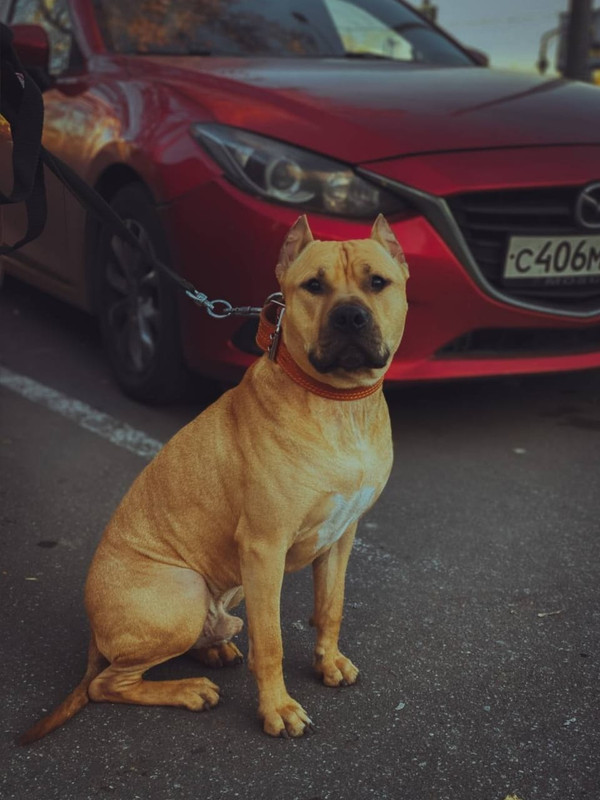 91089E38-2604-421D-A506-AB9B0817189A