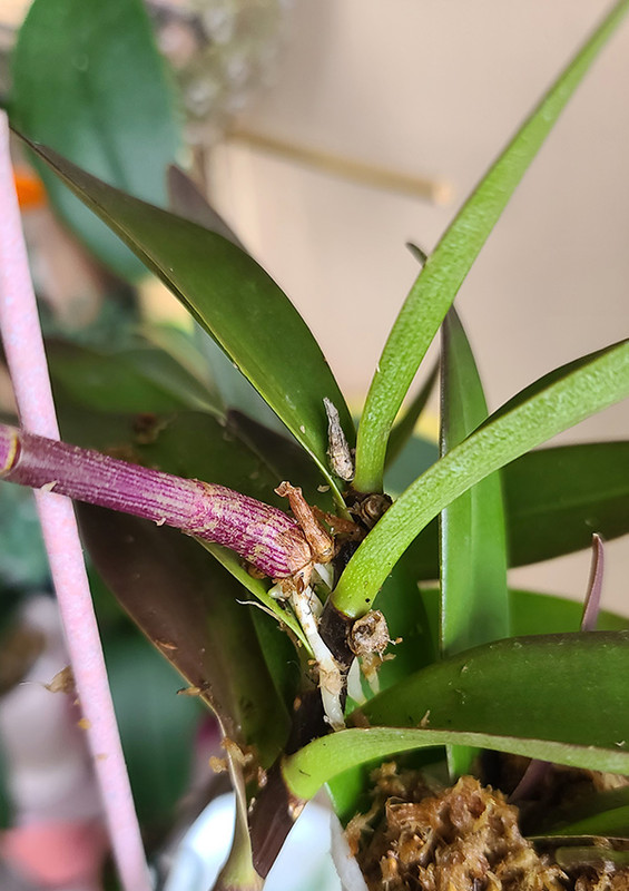 [Image: 20231230-103709.jpg]