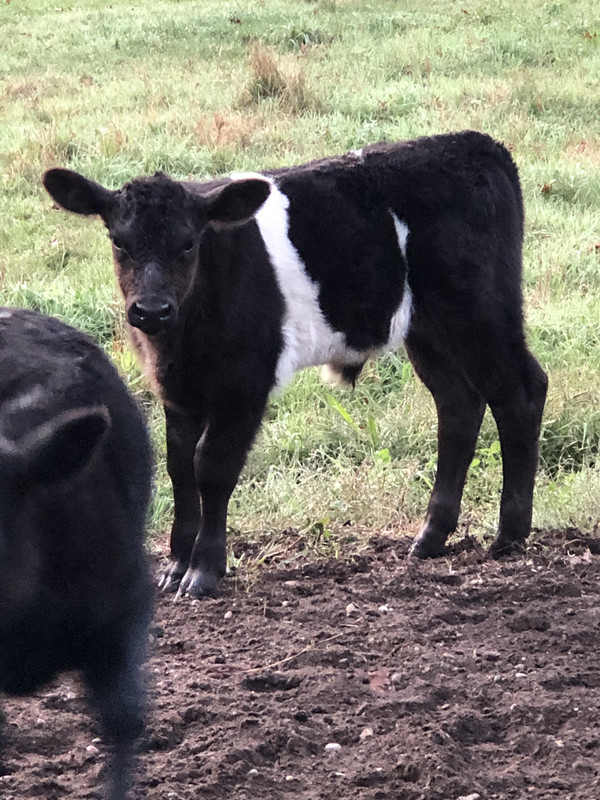 C5627D5B-7294-41CB-AD25-BD5C27DD0124