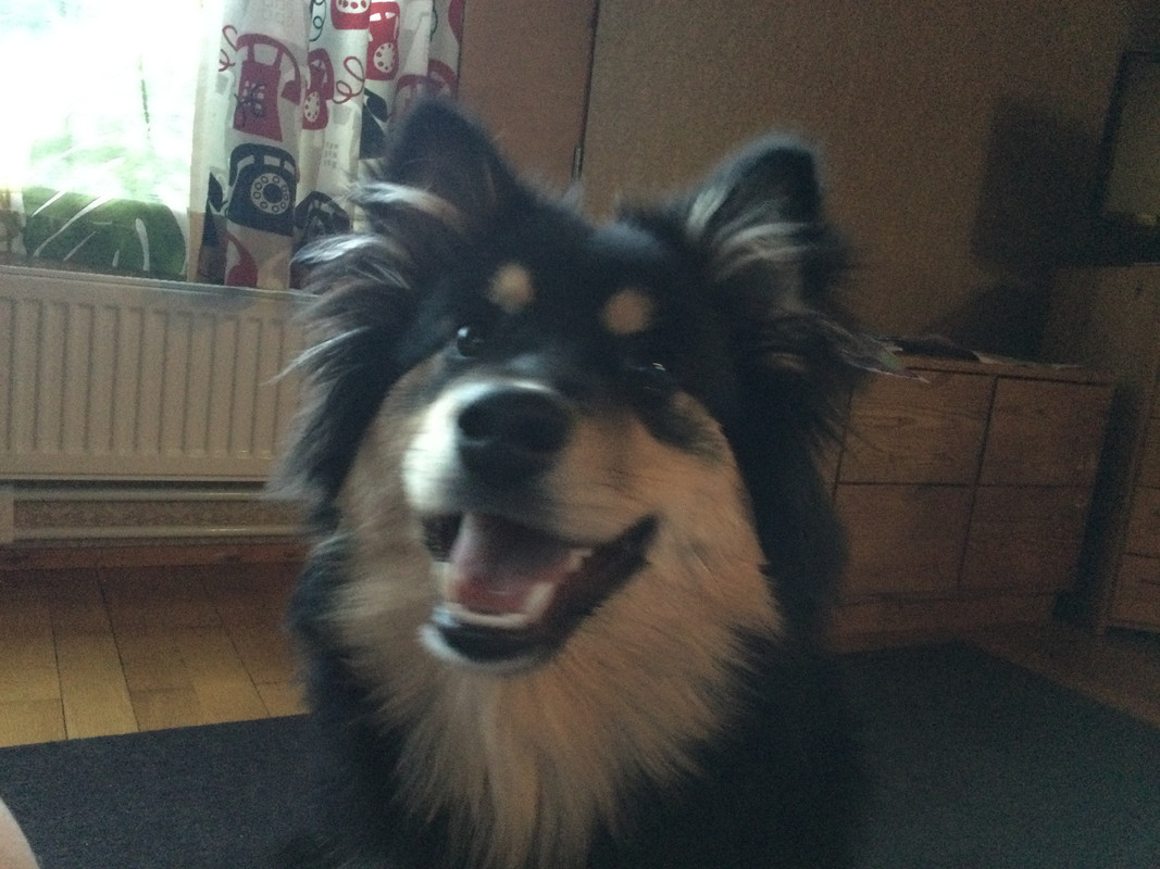 24AEC10E-97F8-4BBC-A0FB-C2E17C7B6C65