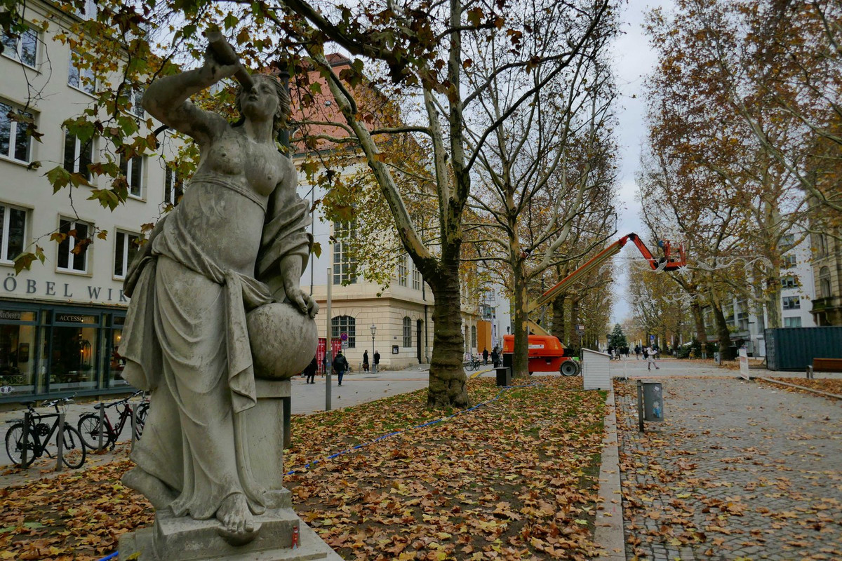 P1240664.jpg
