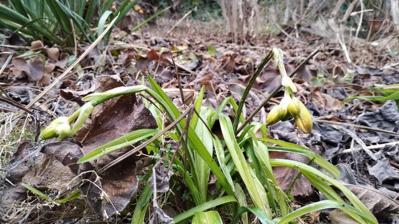 изображение viber 2025 12 28 13 46 17 866