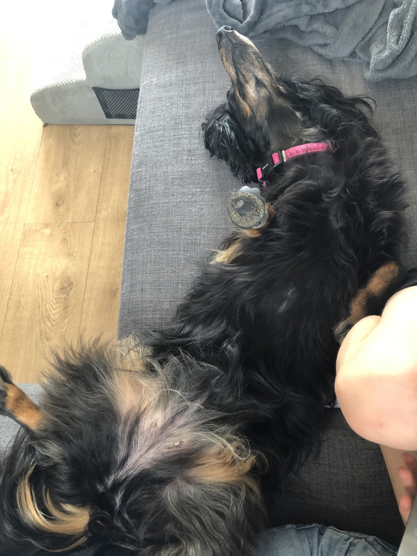 [Image: IMG-3416.jpg]