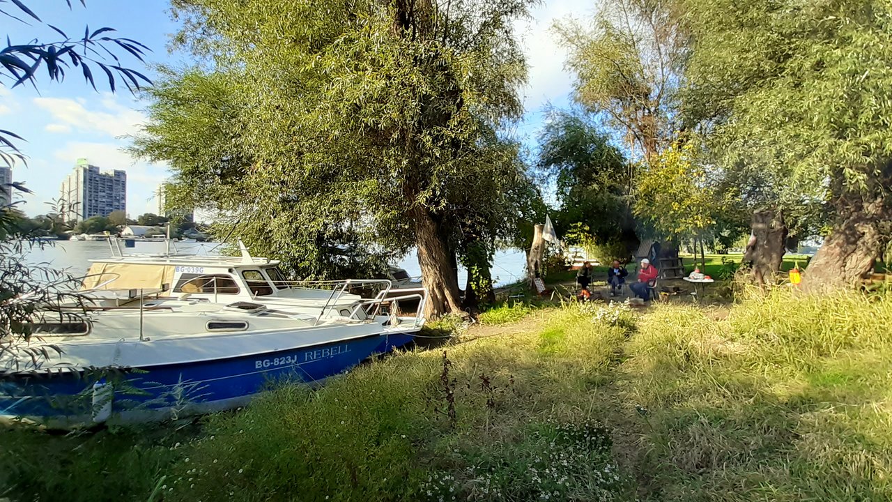 Slika