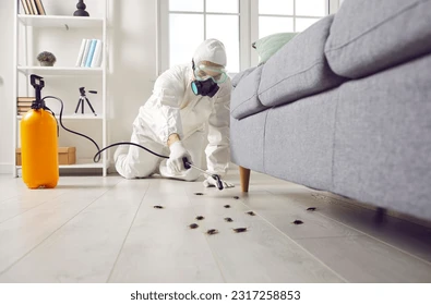 Attic Insulation Service