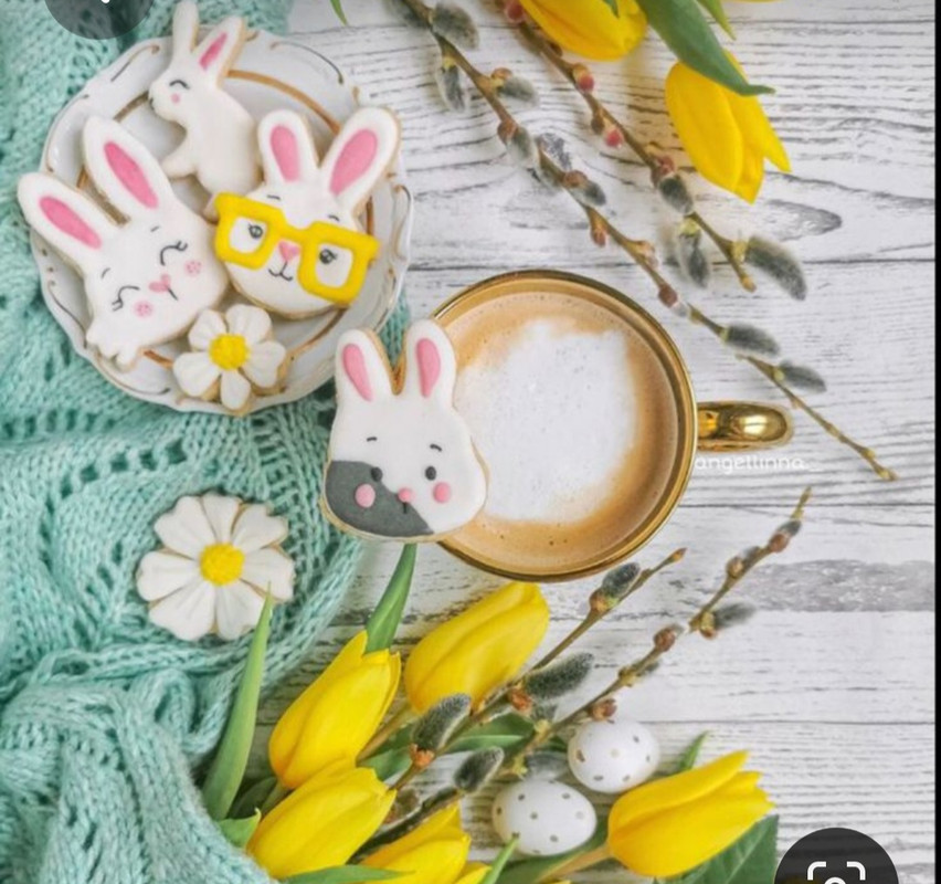 Screenshot_20230409_212344_Pinterest