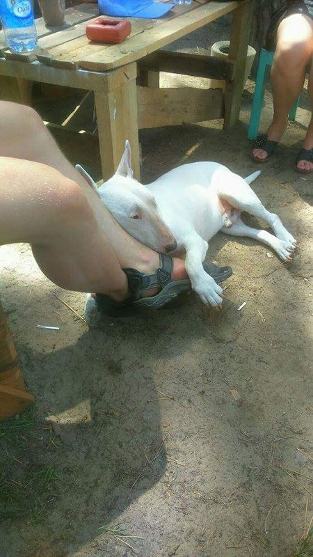 received_1559120411049607