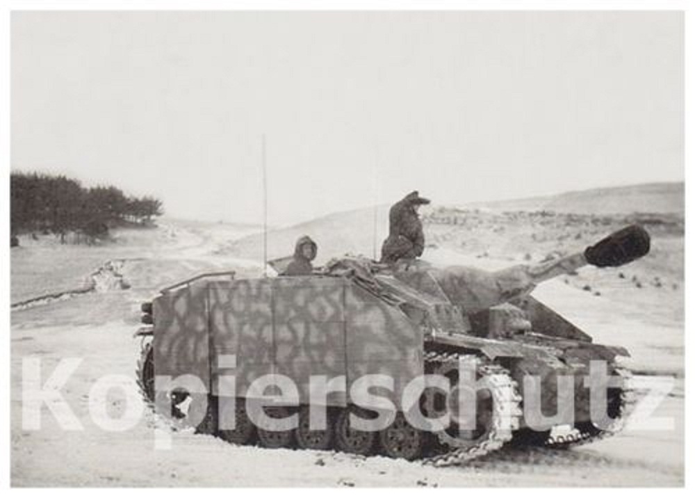 Tank STUG III Seitenschürze Langrohr Camo Tarnsc
