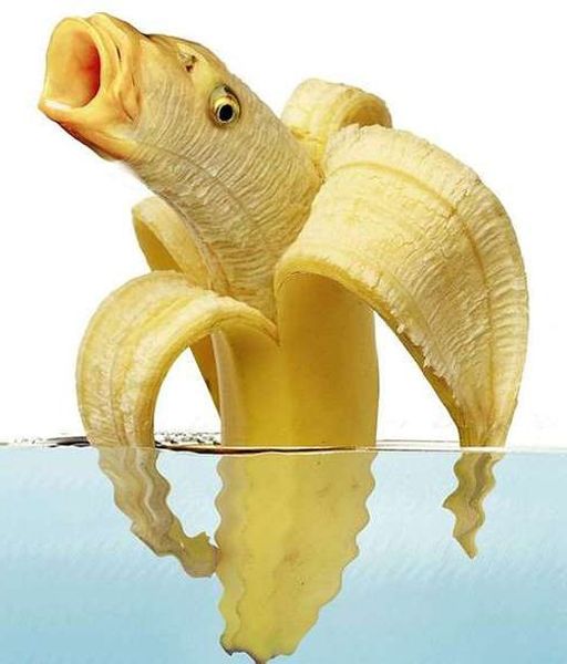 yellow-banana-fish-new.jpg