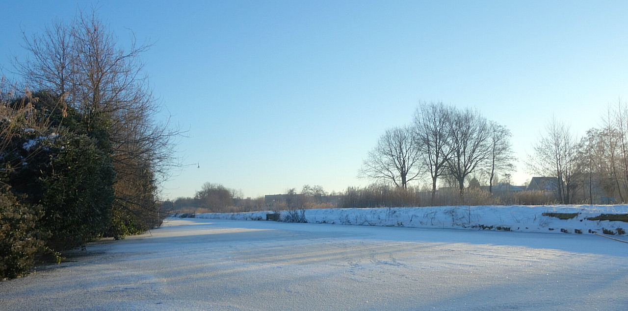 Lumii_20210211_101427392