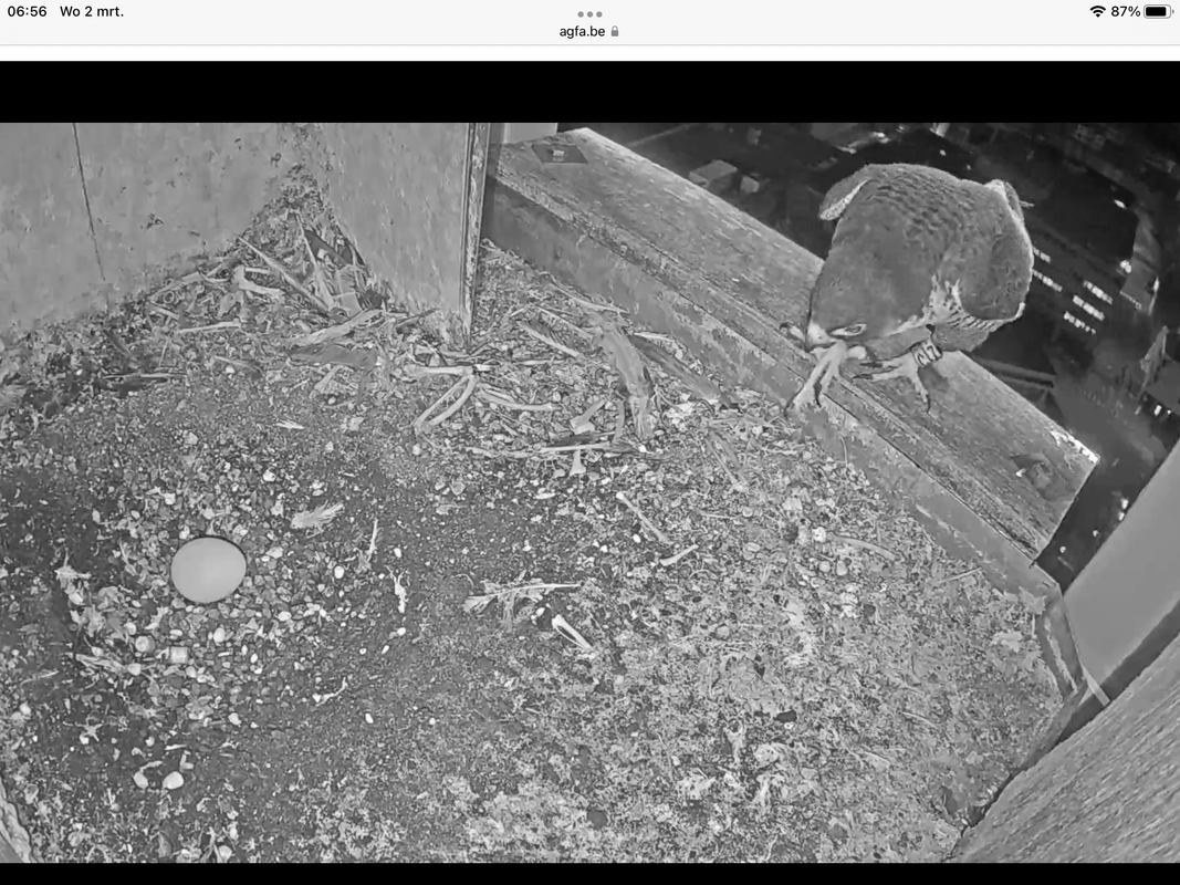 CBE3A6B2-06B7-485E-9F45-C5E87729036A