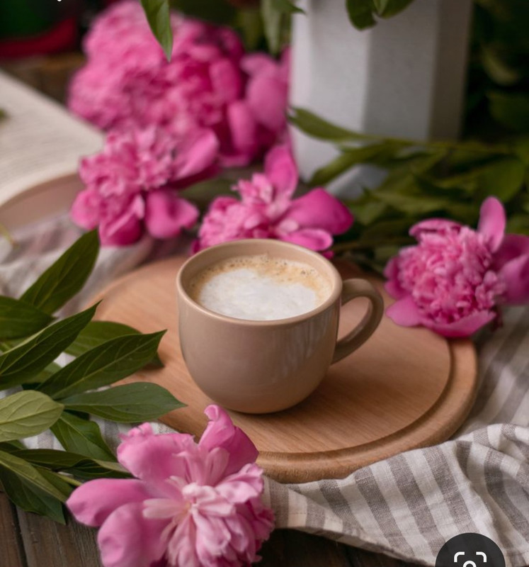 Screenshot_20230717_220159_Pinterest